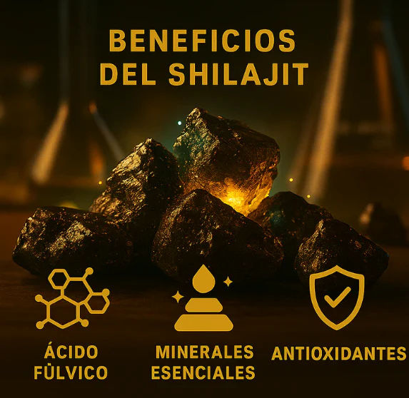 GOMAS SHILAJIT x 160g - MEGA OFERTA