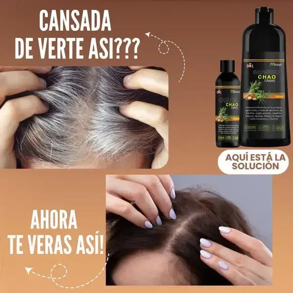 Shampoo 3 En 1 - Chao Canas + Tratamiento