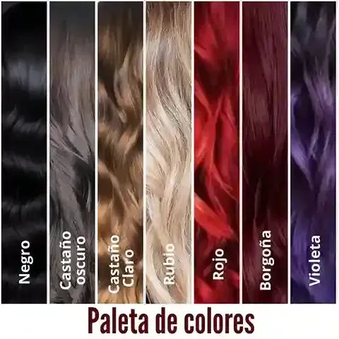 Shampoo 3 En 1 - Chao Canas + Tratamiento
